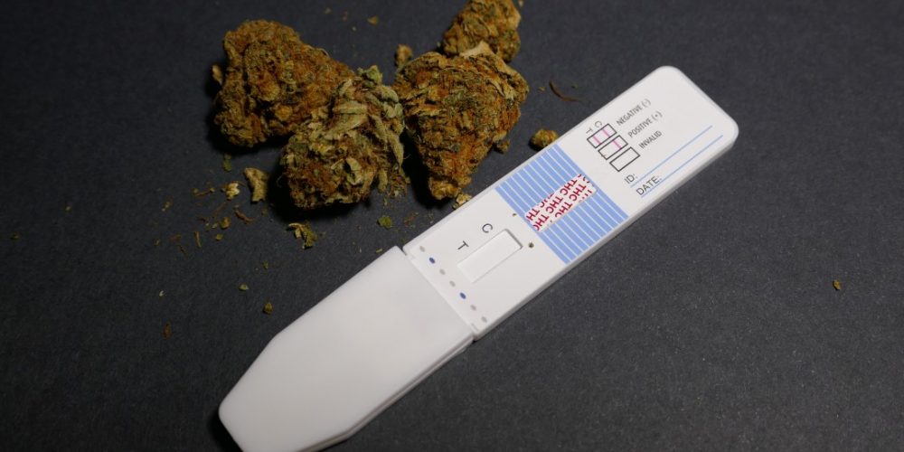 The Implications of Legal Cannabis on Workplace Drug Testing