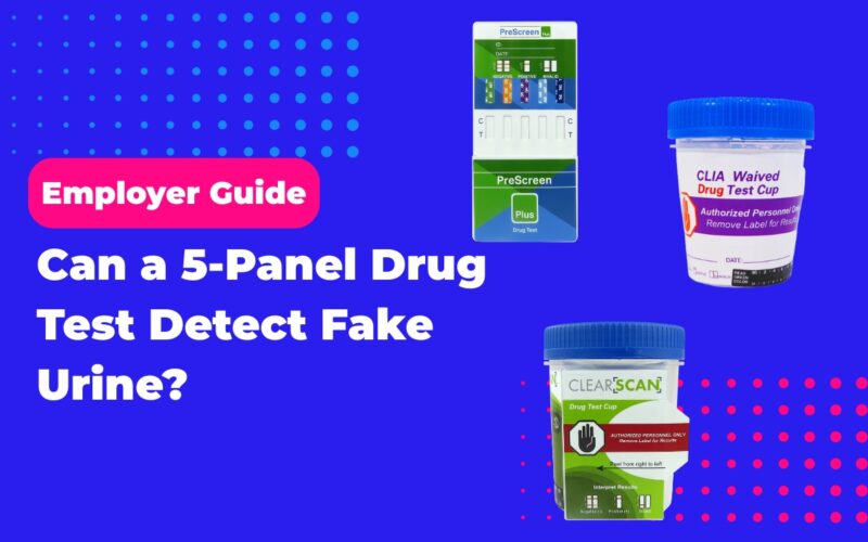 Can a 5-Panel Drug Test Detect Fake Urine? Employer Guide