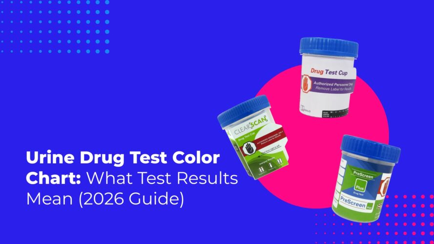 Urine Drug Test Color Chart: What Test Results Mean (2026 Guide)