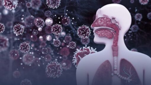 Medical illustration showing viral particles entering the human nasal cavity, airway, and lungs
