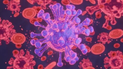 coronavirus cell showing surface antigen proteins
